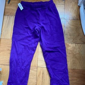 Aritzia TNA Cozy AF purple sweatpants